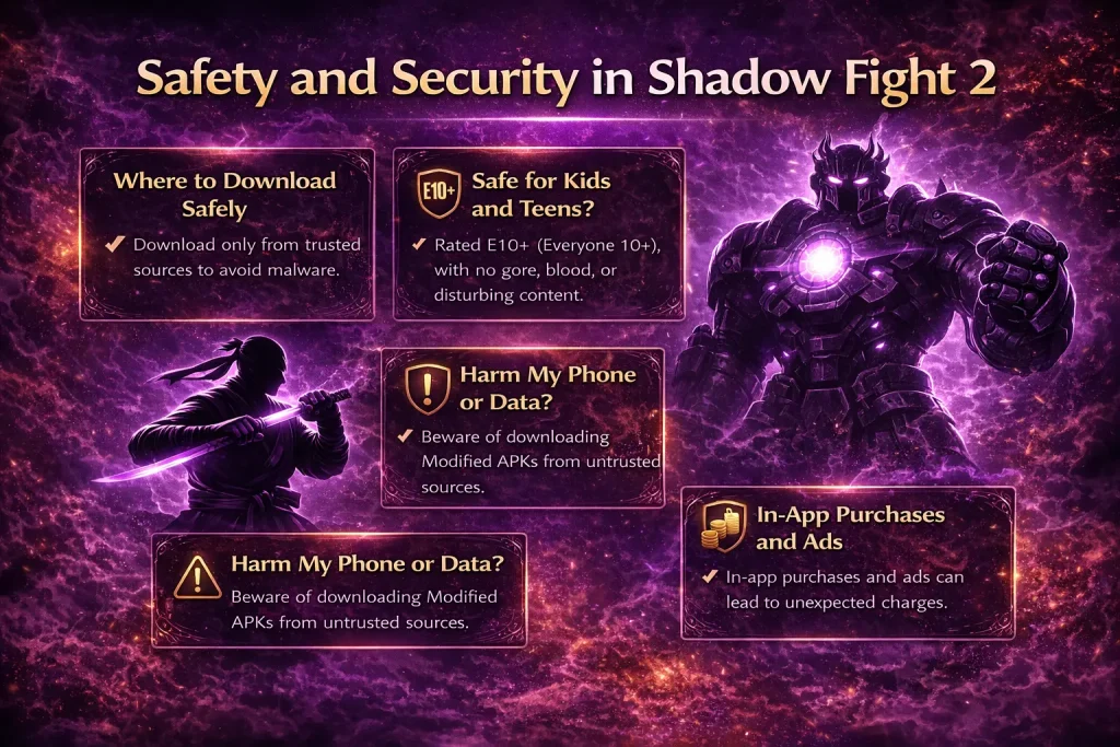 safe & secure shadow fight